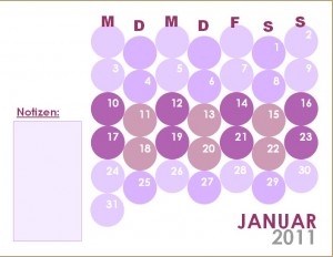 Jahreskalender 2011 (Rosa)