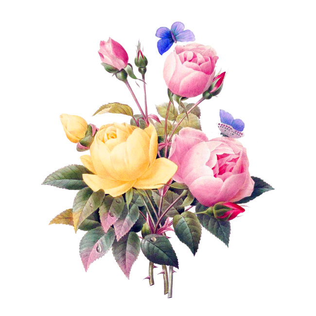 Blumenstrauß - Office-Lernen.com