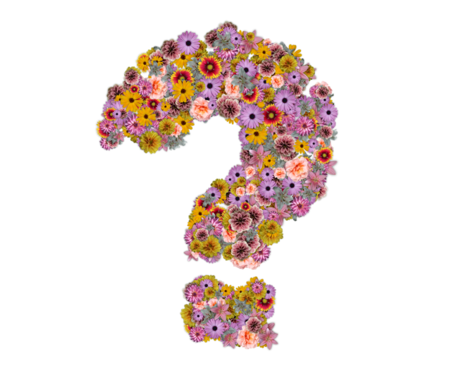 Fragezeichen Blumen