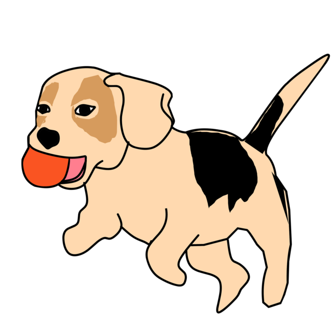 Hund