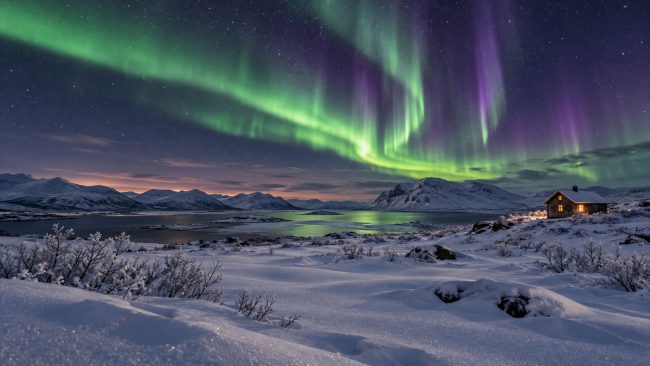 Grünes Polarlicht über einer verschneiten Winterlandschaft mit kleiner Hütte